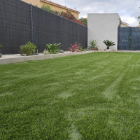 Avis client carpi66, image 1