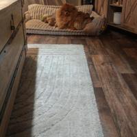 Avis client Celine , image 1