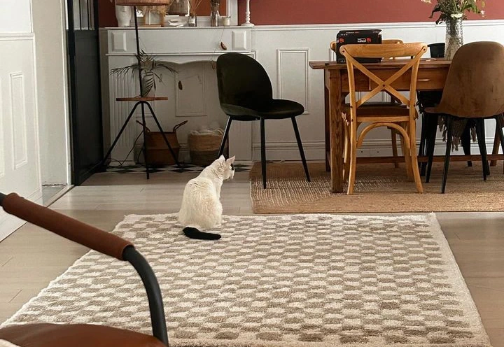 Tapis Colorama beige vintage dans une pièce de vie rétro et colorée