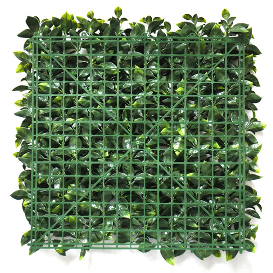 Mur végétal artificiel - feuilles de gardénia - face arrière