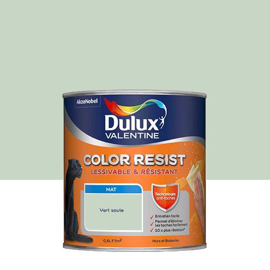 Dulux Valentine Color Resist - Murs&Boiseries - Mat Vert Saule