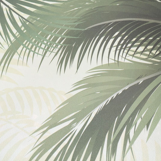 Papier peint panoramique - Format L - Palmeraie tropicale - vue de près
