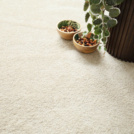 Visuel - Tapis sur mesure - Lumicolor - Beige clair