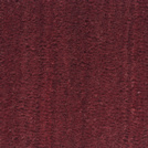 Visuel - Tapis sur mesure Paillasson Brosse Coco Spcial PMR-ERP 17mm - Rouge