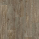 Sol Vinyle Loft - Décor bois chêne cendré - Surface brillante