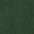 Moquette pure laine - Majestic Balsan - Vert Emouvant 286
