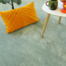 Visuel - Tapis sur mesure doux poils longs - Touch - Vert sauge