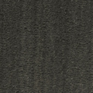 Visuel - Tapis sur mesure Paillasson Brosse Coco Spcial PMR-ERP 17mm - Anthracite
