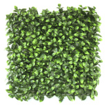 Mur végétal artificiel - Buis à petites feuilles