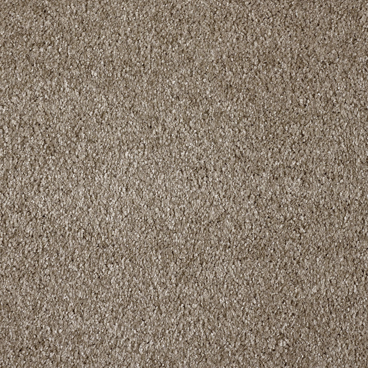 Moquette ultra douce - Pulse - Taupe fumé