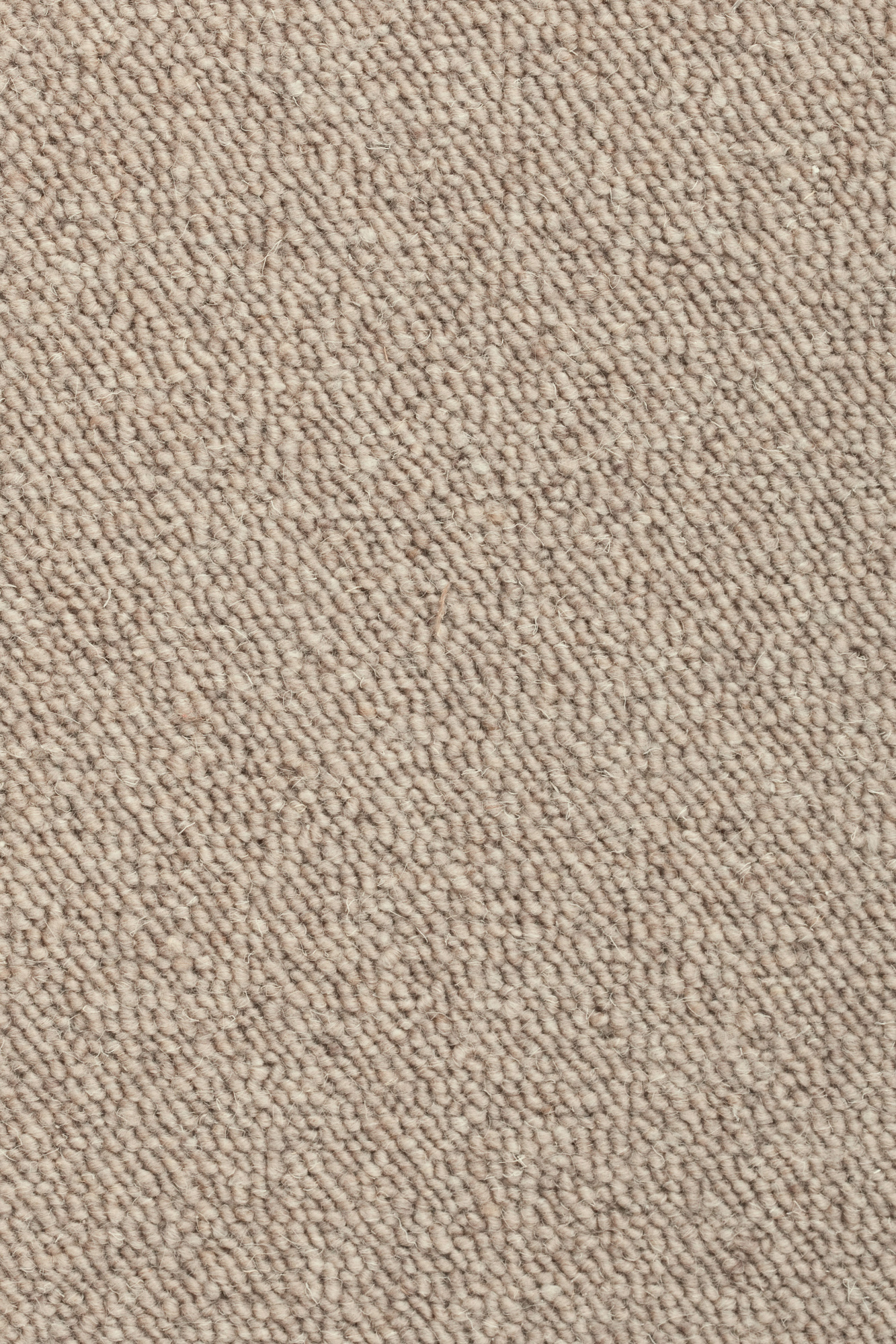 Tapis sur mesure pure laine vierge bouclée - Mallow - Beige