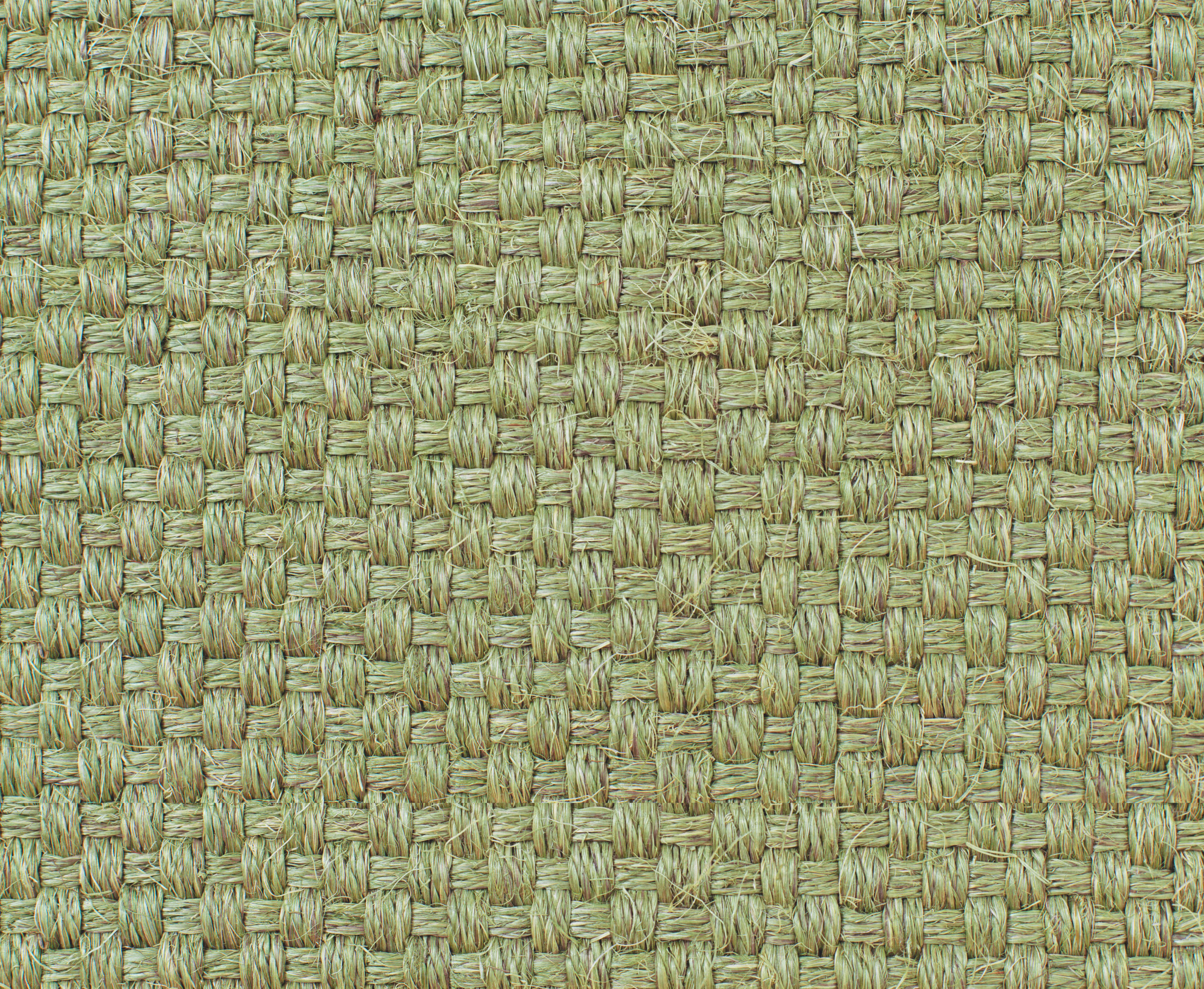 Tapis sur mesure Sisal - Bahia - Vert