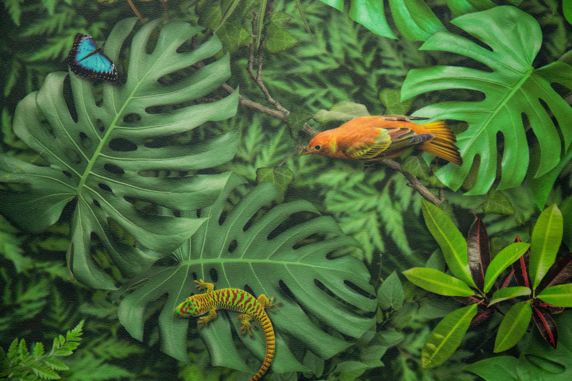 Sol Vinyle Textile Relief 3D imprimé Faune et flore tropicale, zoom sur oiseaux, lézards et papillons