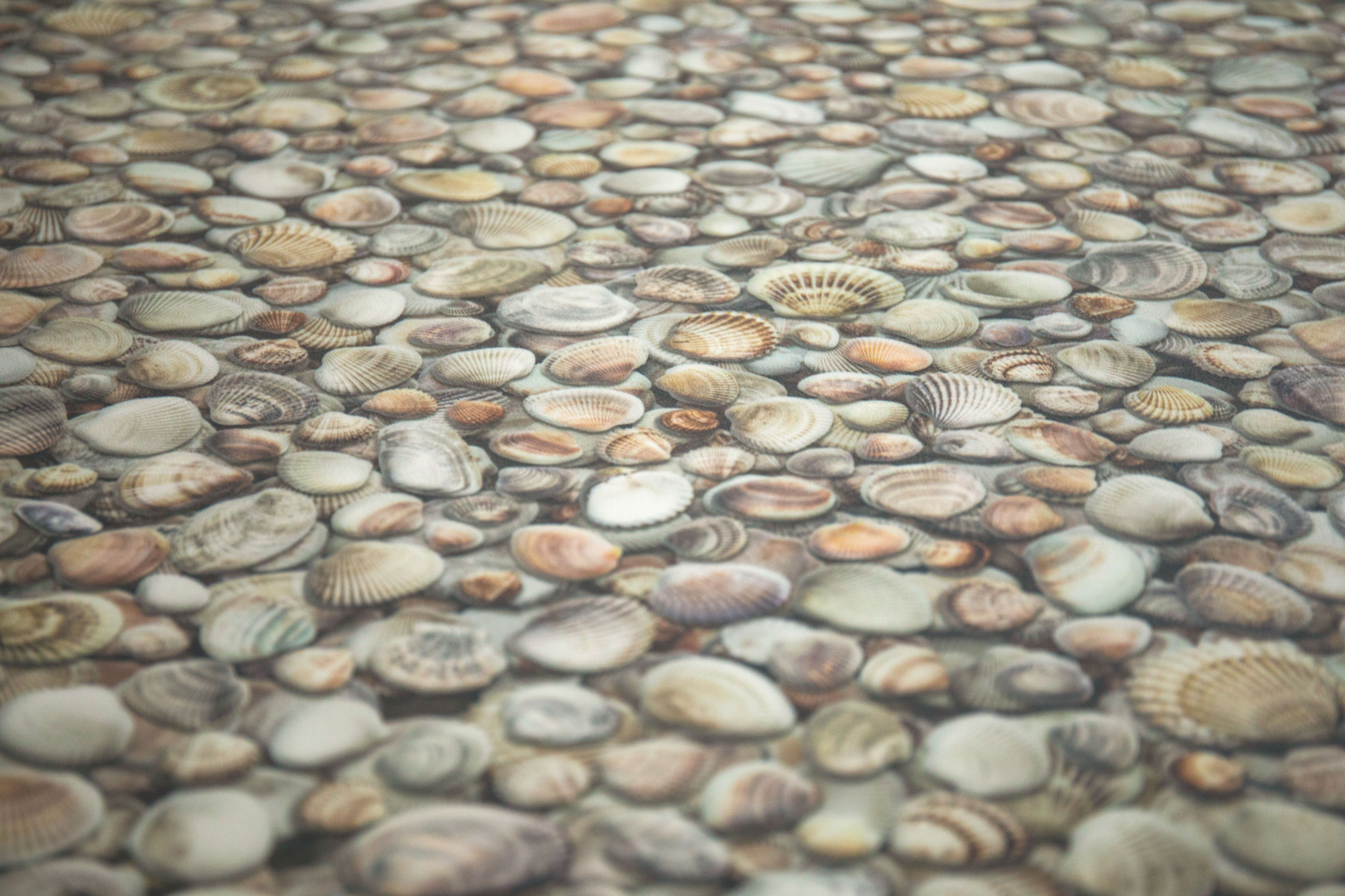 Sol Vinyle Textile Relief 3D – Imprimé Coquillages, vue rapprochée du motif texturé
