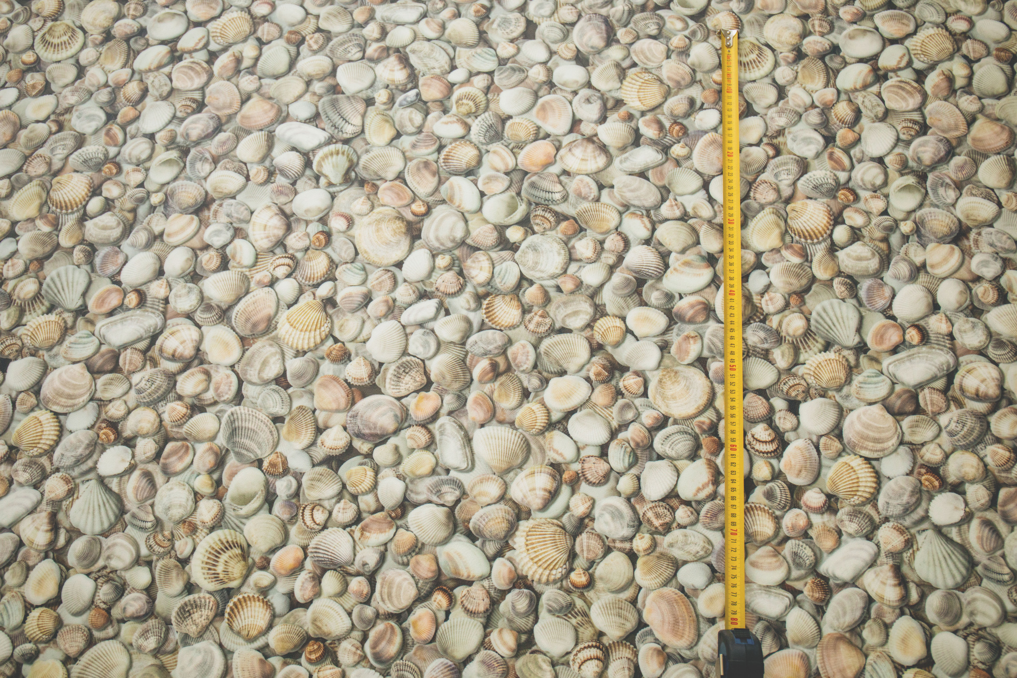 Sol Vinyle Textile Relief 3D – Imprimé Coquillages, avec mètre pour visualiser l’échelle du motif