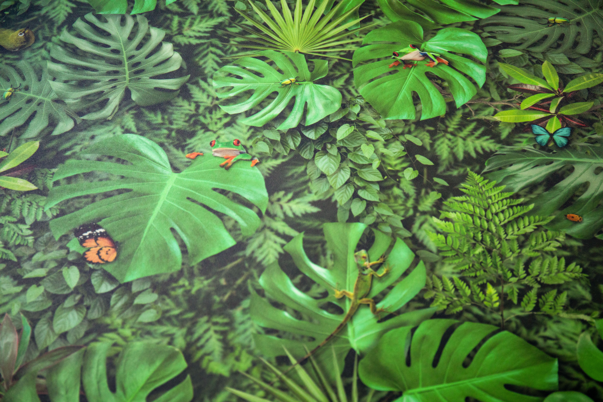 Sol Vinyle Textile – Relief 3D – Imprimé Faune et flore tropicale, motif jungle dense et immersif