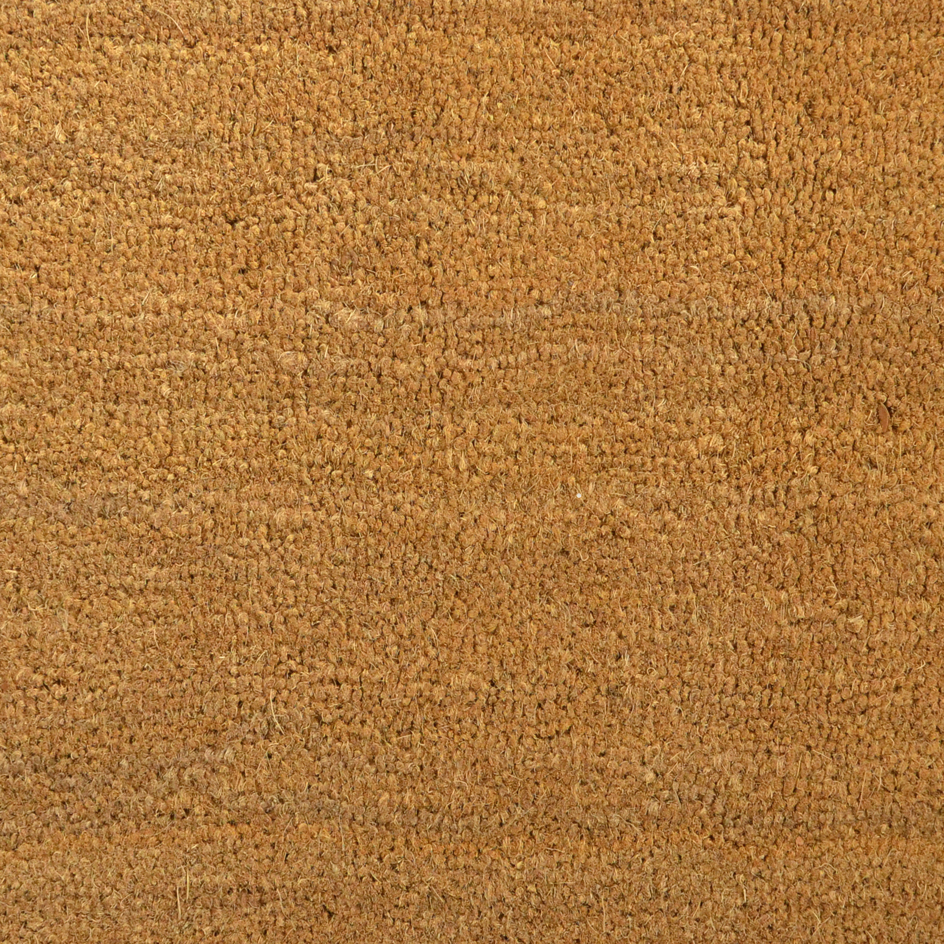 Tapis sur mesure Paillasson Brosse Coco 17mm - Écru