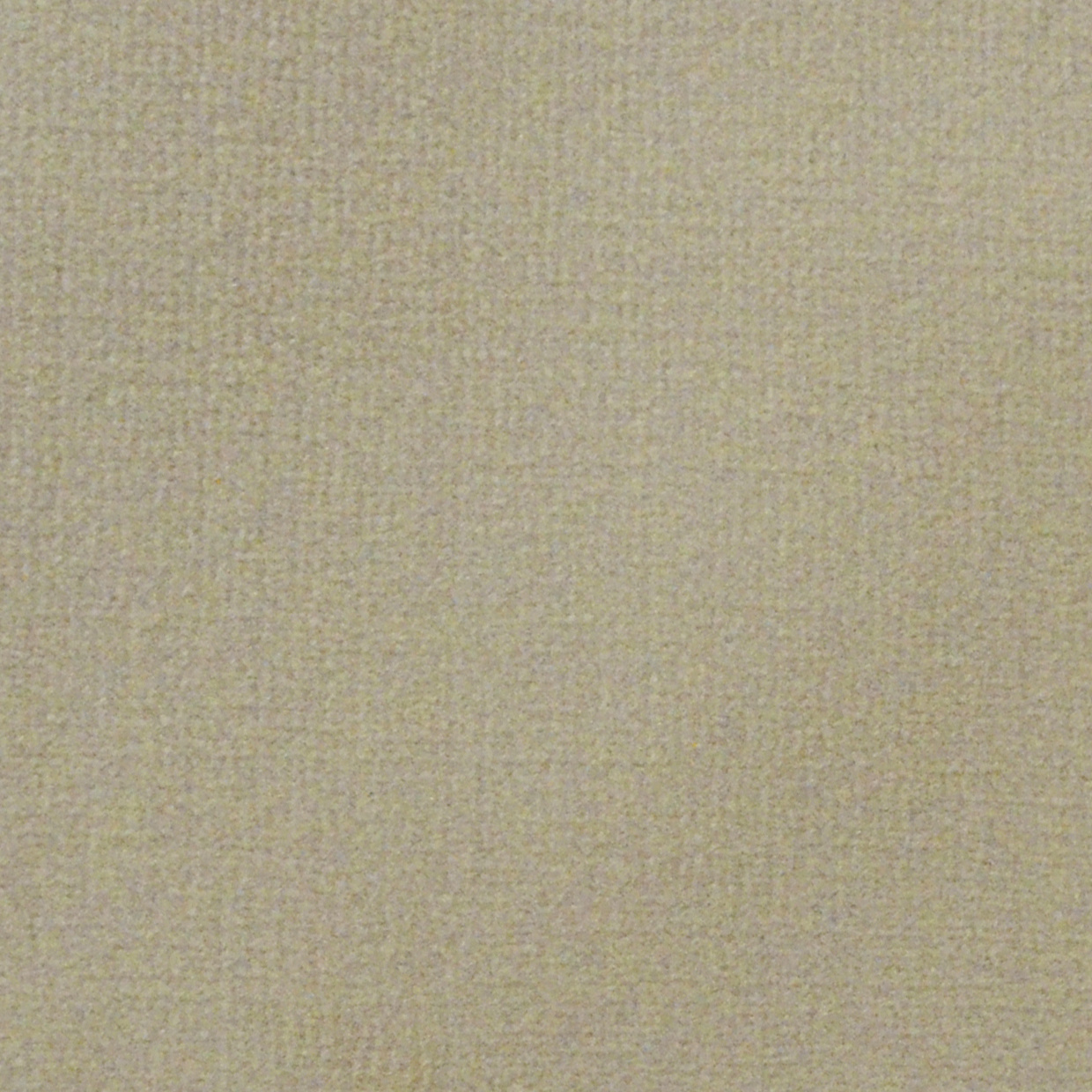 Tapis sur mesure Velours Loft beige - Matière