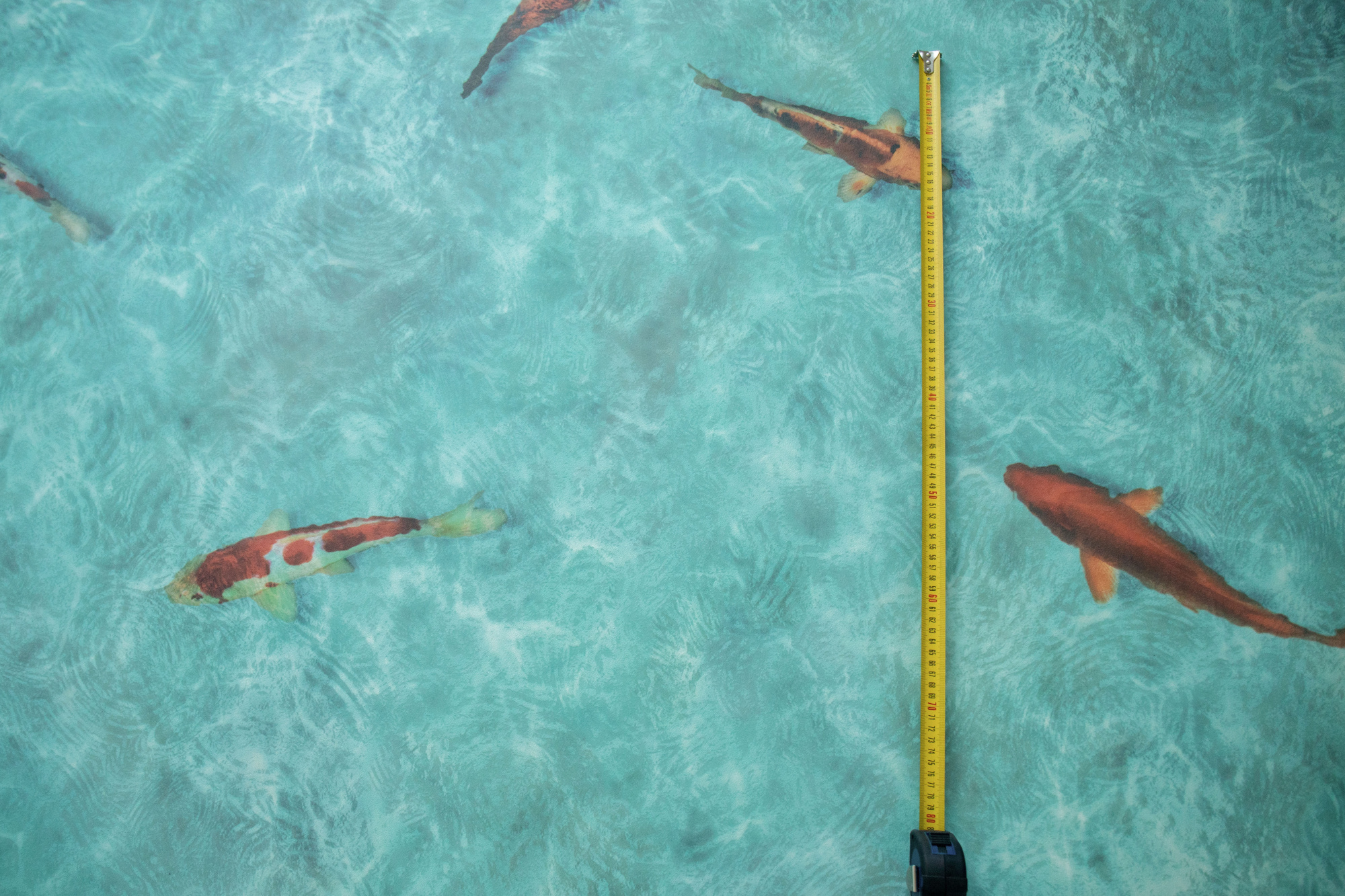 Sol Vinyle Textile – Relief 3D – Imprimé poisson Koï japonais, vue du motif avec échelle pour dimension des poissons