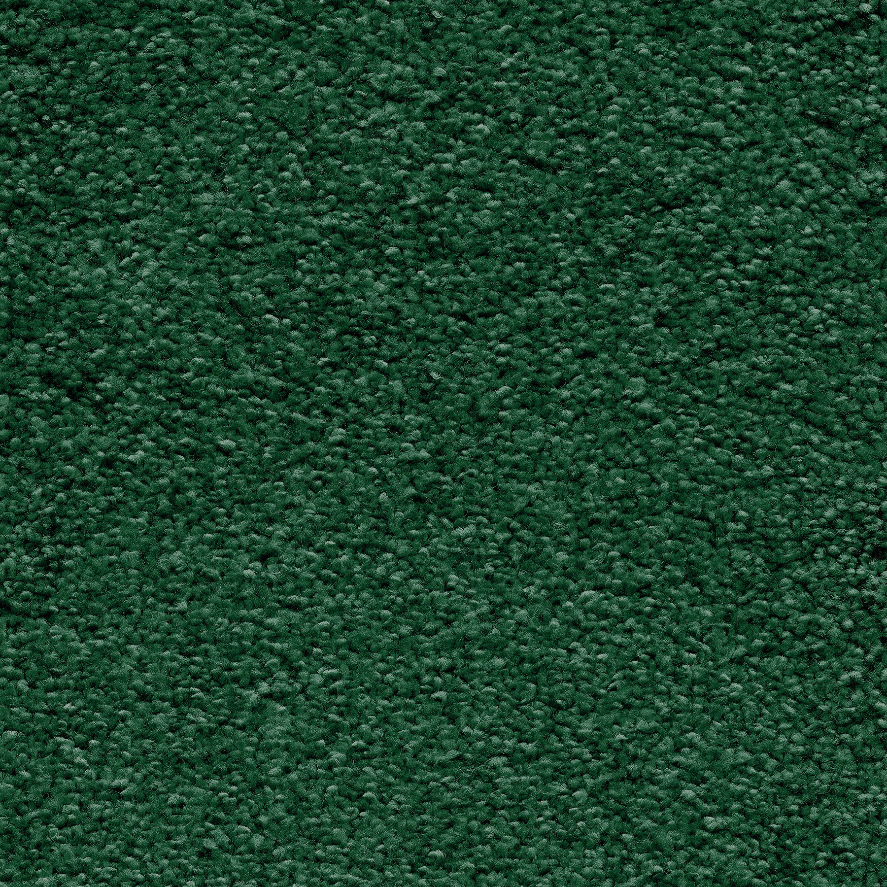 Moquette ultra douce - Pulse - Vert forêt