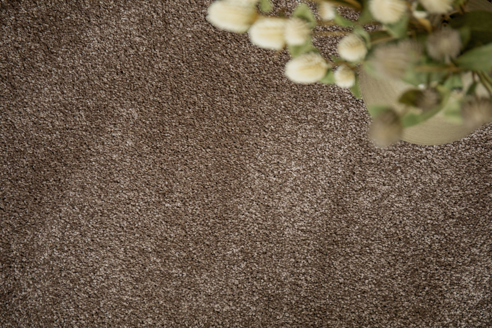 Moquette Select Chocolat – texture douce coloris brun naturel