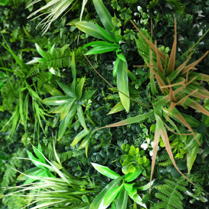 Mur Végétal Artificiel en Brise vue Jungle