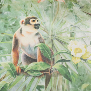Papier peint intissé Jungle Animals pas cher