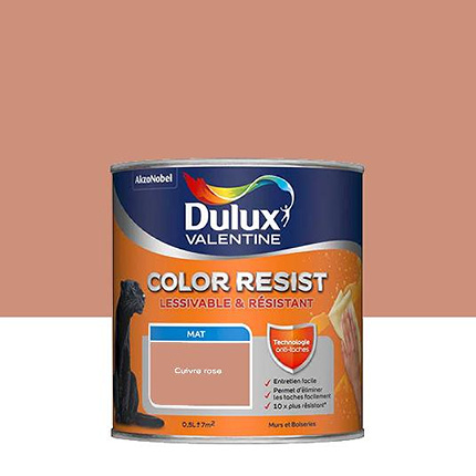 Dulux Valentine Color Resist - Murs&Boiseries - Mat Cuivre Rose