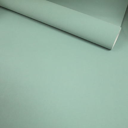 Papier peint vinyle sur intiss - Intemporel - Uni grain fin vert d'eau