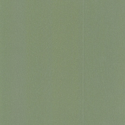 Sol Vinyle Résistance Pro - Parquet bois vintage peint - Vert