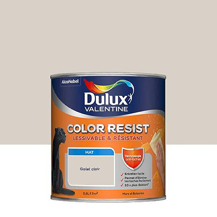 Dulux Valentine Color Resist - Murs&Boiseries - Mat Galet Clair