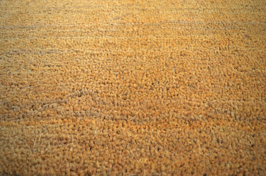 Tapis sur mesure Paillasson Brosse Coco 17mm - Écru