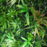 Mur végétal artificiel 1m x 1m - Forêt tropicale - Intérieur et extérieur - feuille