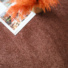 Moquette salon Lumicolor marron auburn - vue du dessus