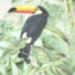 Papier peint panoramique - Format L - Animaux de la jungle - toucan