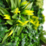 Mur végétal artificiel Balade printanière intérieur et extérieur - fleur