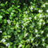 Mur végétal artificiel Prairie intérieur et extérieur - fleurs