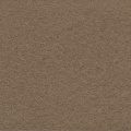 Moquette Orotex Revexpo - Taupe