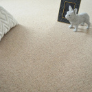 Moquette laine Dolce Vita - Nude - Vue de près