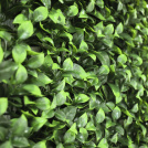 Mur végétal artificiel - feuilles de gardénia - vue de près