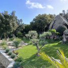 Gazon synthétique Nature Up 55 mm - jardin