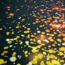 Moquette Stand imprimée Jeu de lumière - Motif coloré effet lumière