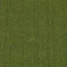 Texture en fibres de coco tressées du paillasson vert pomme