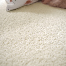 Tapis sur mesure Select ecru - salon
