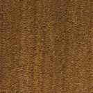 Tapis sur mesure Paillasson Brosse Coco Spécial PMR-ERP 17mm - Écru