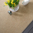Tapis extérieur et intérieur - Couleur naturel et finition lin