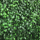 Mur végétal artificiel - Buis à petites feuilles - vue de près