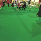 Moquette Stand Event vert, revêtement de sol pour salons et foires professionnelles