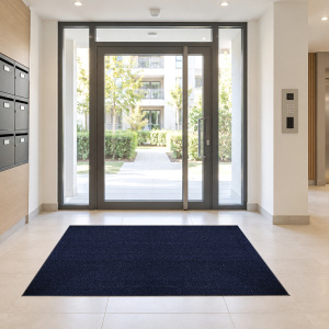 Paillasson - Tapis brosse Coco - Bleu - Ép. 17 mm, tapis de propreté sobre et élégant placé devant une large entrée vitrée pour retenir les salissures