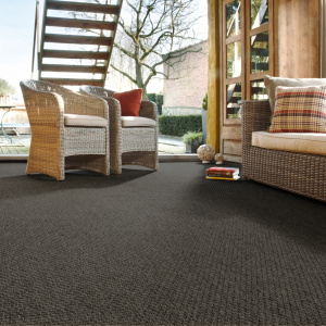 Moquette Tissé Plat - Natté Sumatra - Noir - Salon avec extérieur